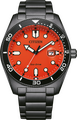 Citizen Basic Eco-Drive 43mm
