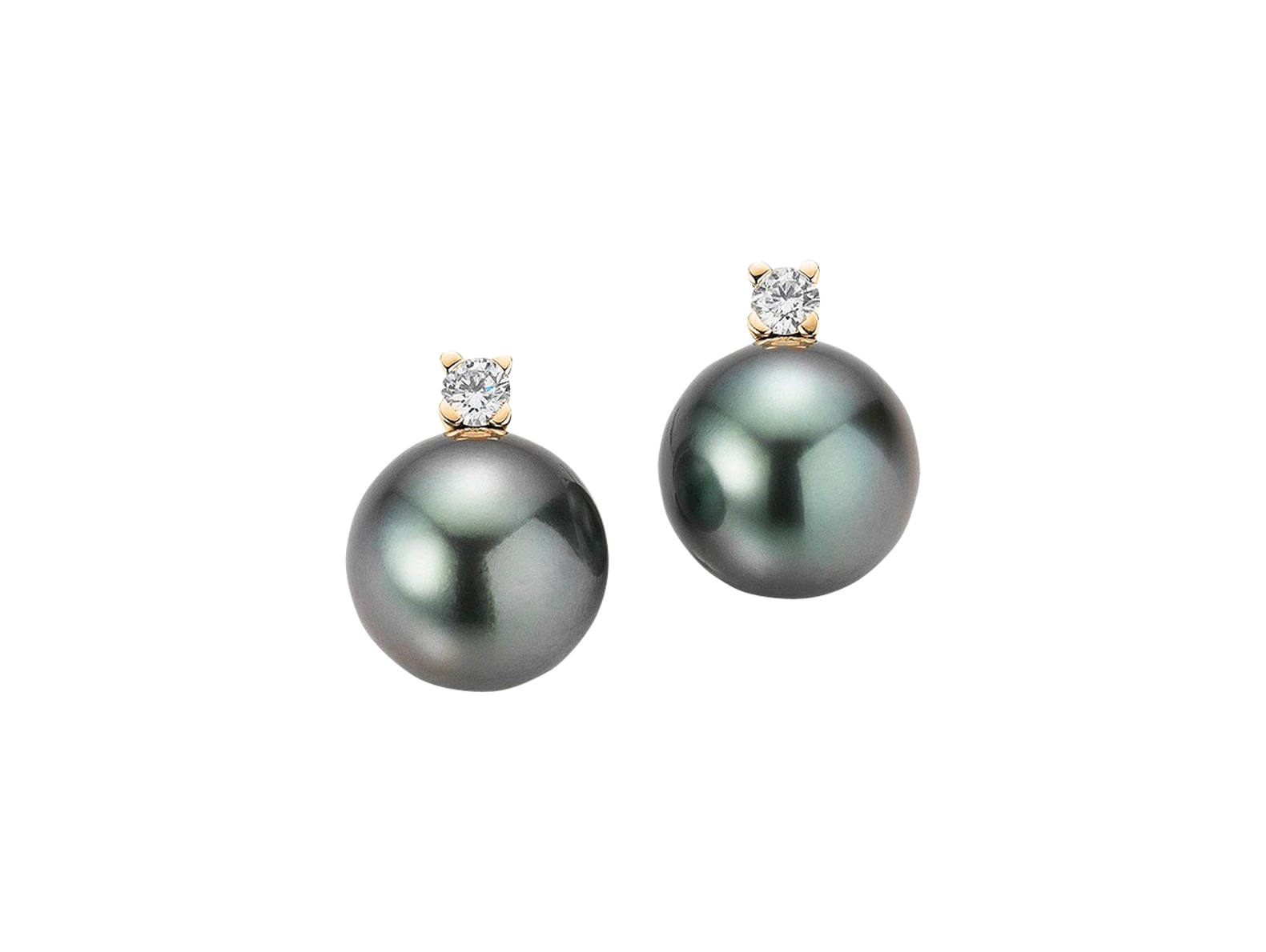 Gellner H2O stud earrings Gellner H2O stud earrings