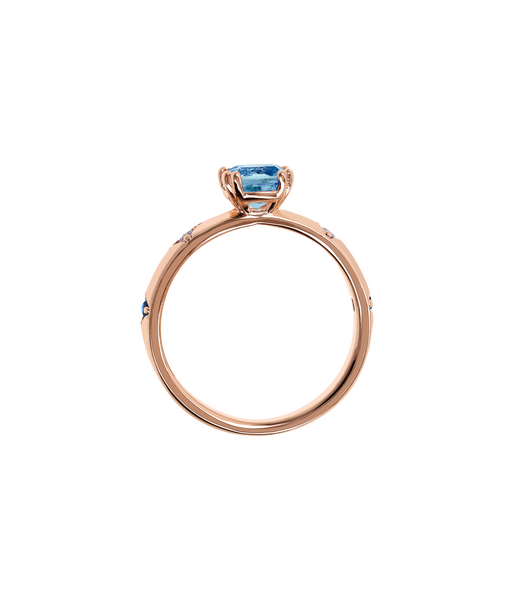 WSBZ02222.SP 3 a707e5596c42cca5e