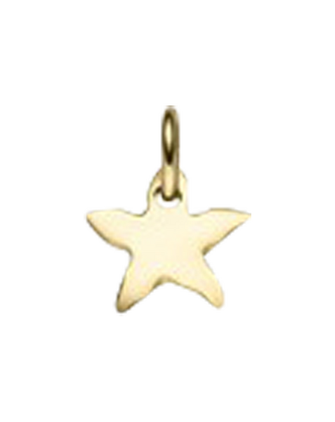 Brogle Classic Sternanhänger aus Gold