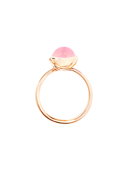 161171 R BOU S CHPI RGpb2