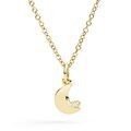 Dodo moon Pendant Dodo moon Pendant