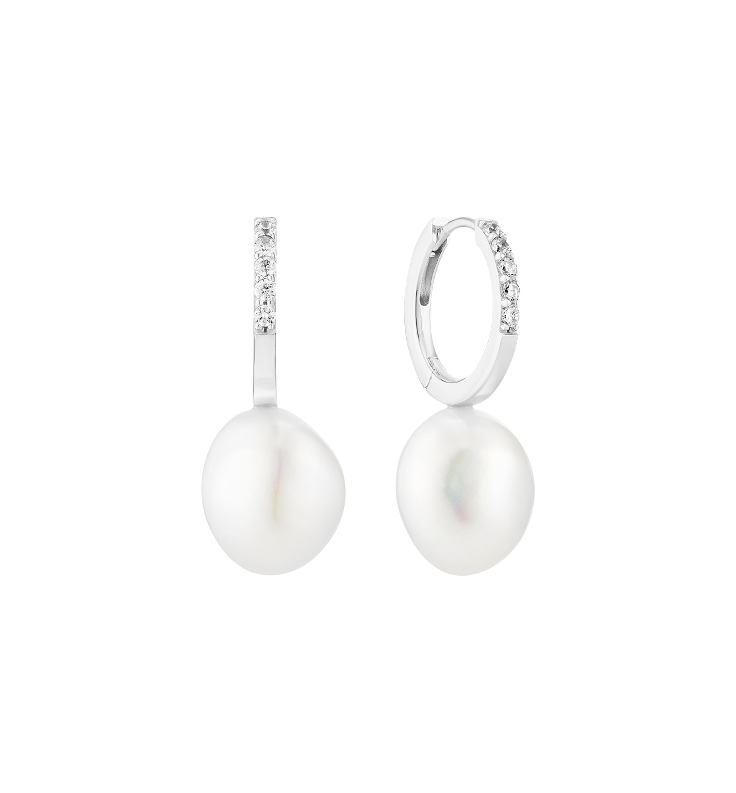 SIF Jakobs Padua Uno Creolen SIF Jakobs Padua Uno Creolen