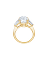 Brogle solitaire ring