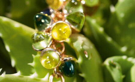 tamara comolli color story rainforest