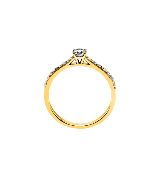 1a424g s1 a6661393898c70861