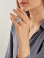 Tamara Comolli Curriculum Vitae Ring