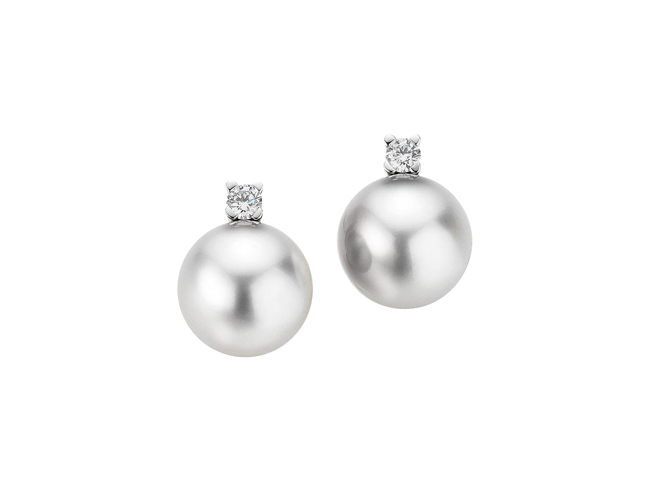 Gellner H2O stud earrings Gellner H2O stud earrings