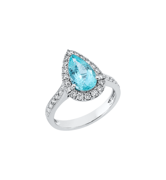 Brogle Selection Paraibaring