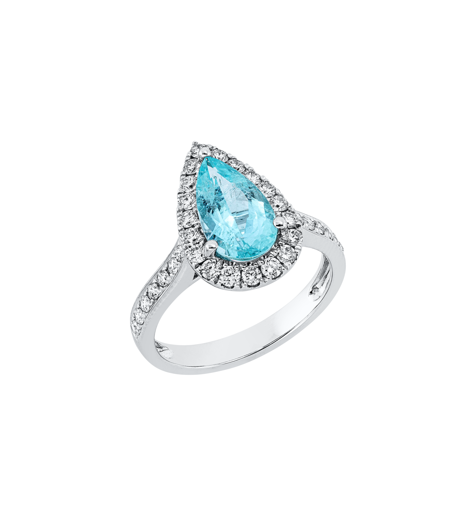 Brogle Selection Paraibaring Brogle Selection Paraibaring