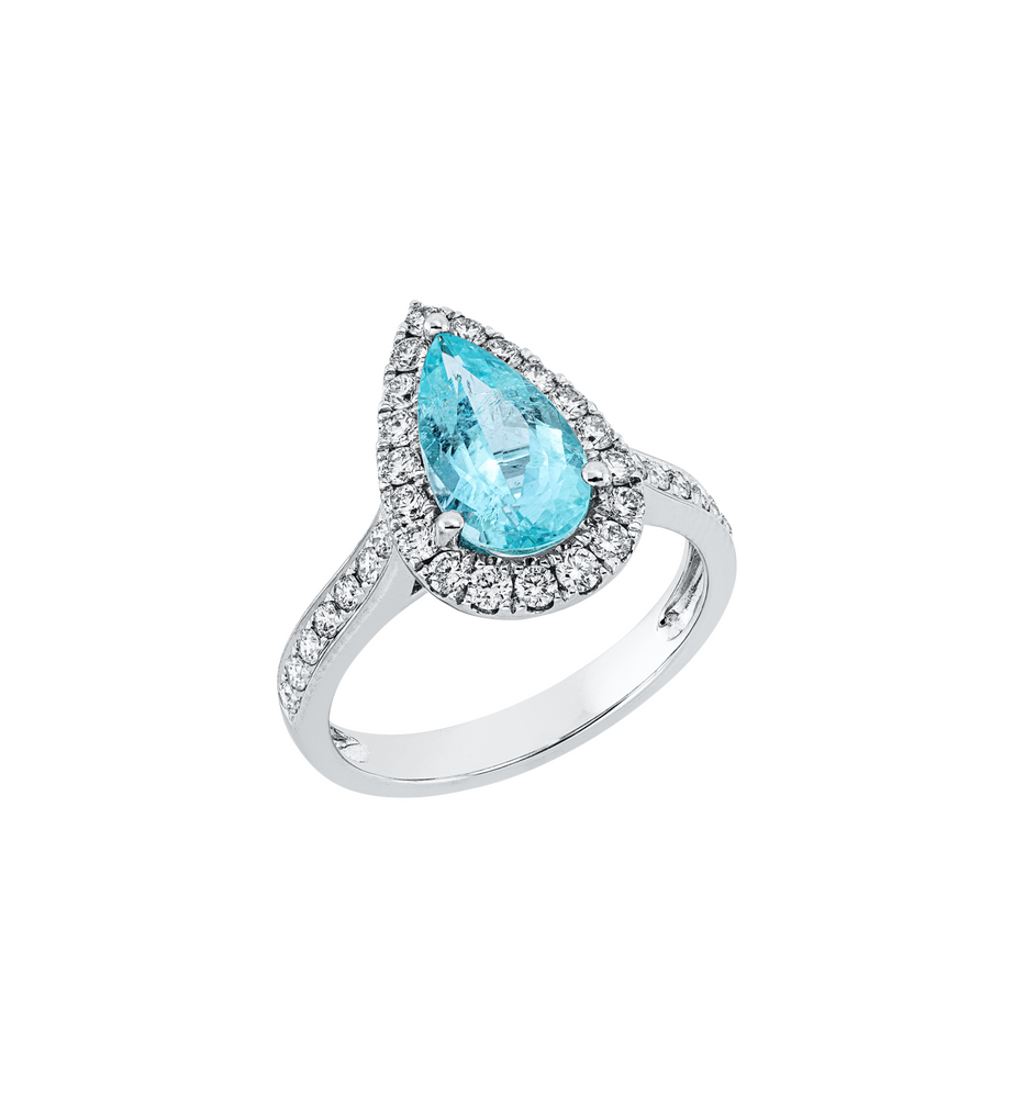 Brogle Selection Paraibaring Brogle Selection Paraibaring