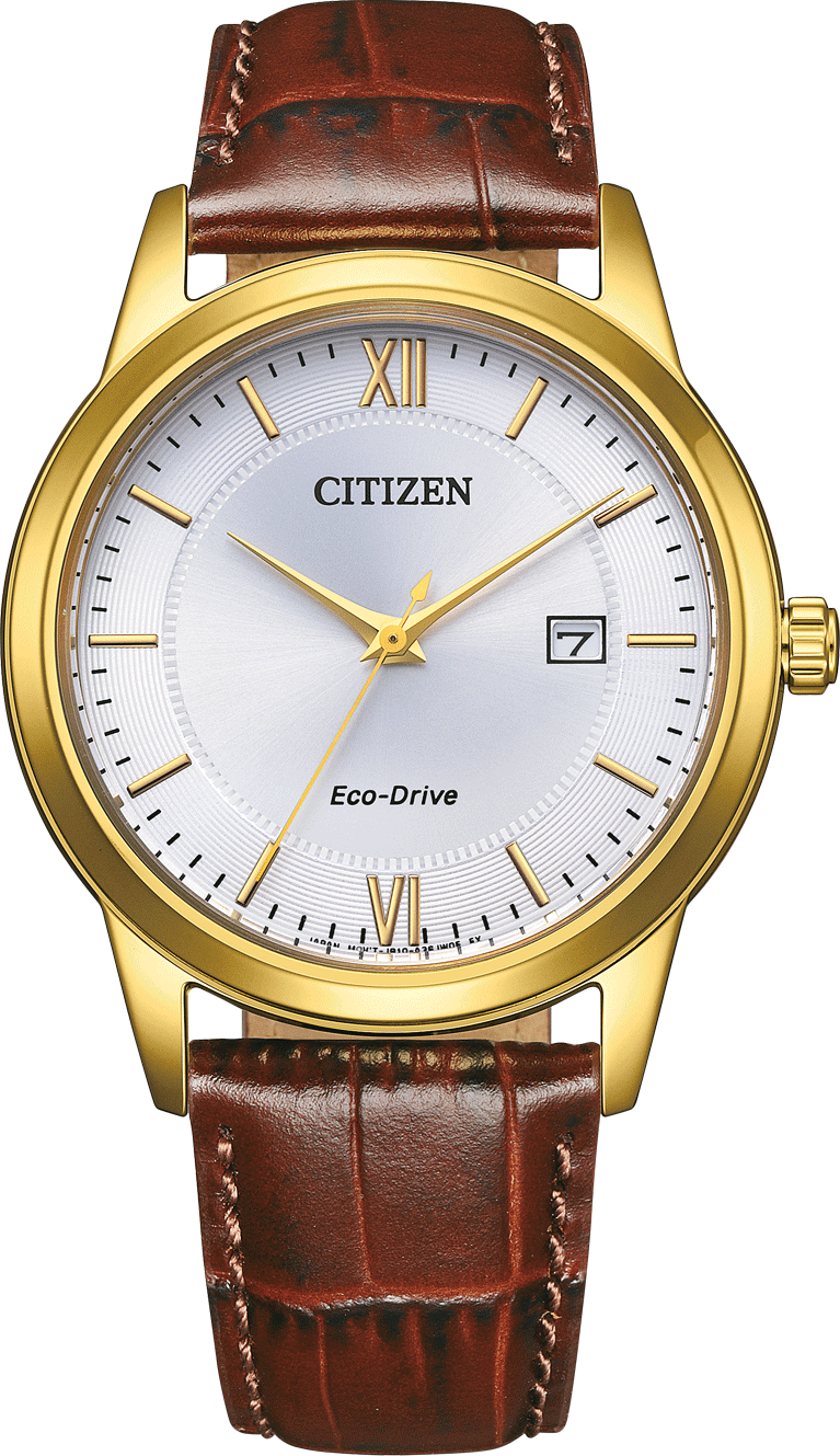 Citizen Elegant Men's 40mm