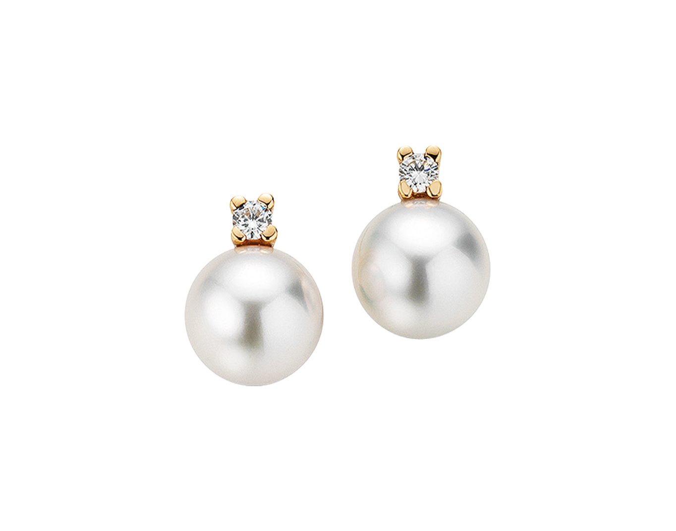 Gellner H2O stud earrings Gellner H2O stud earrings