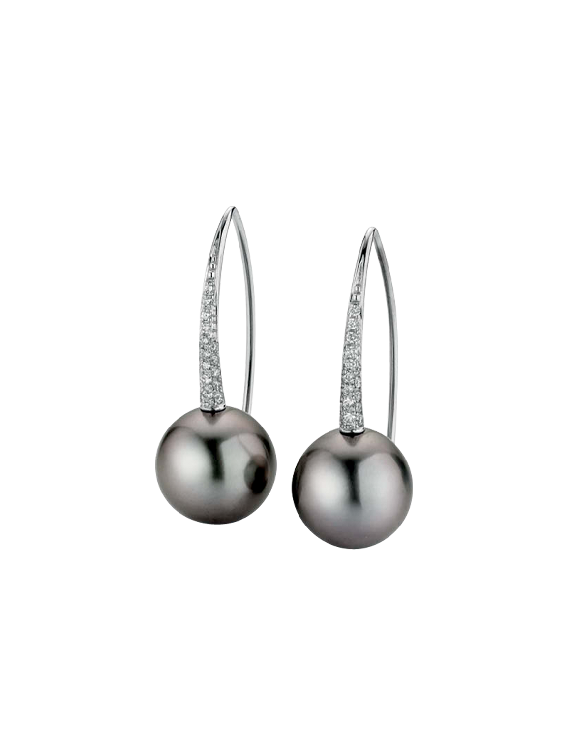 Gellner Modern Classic Earrings Gellner Modern Classic Earrings