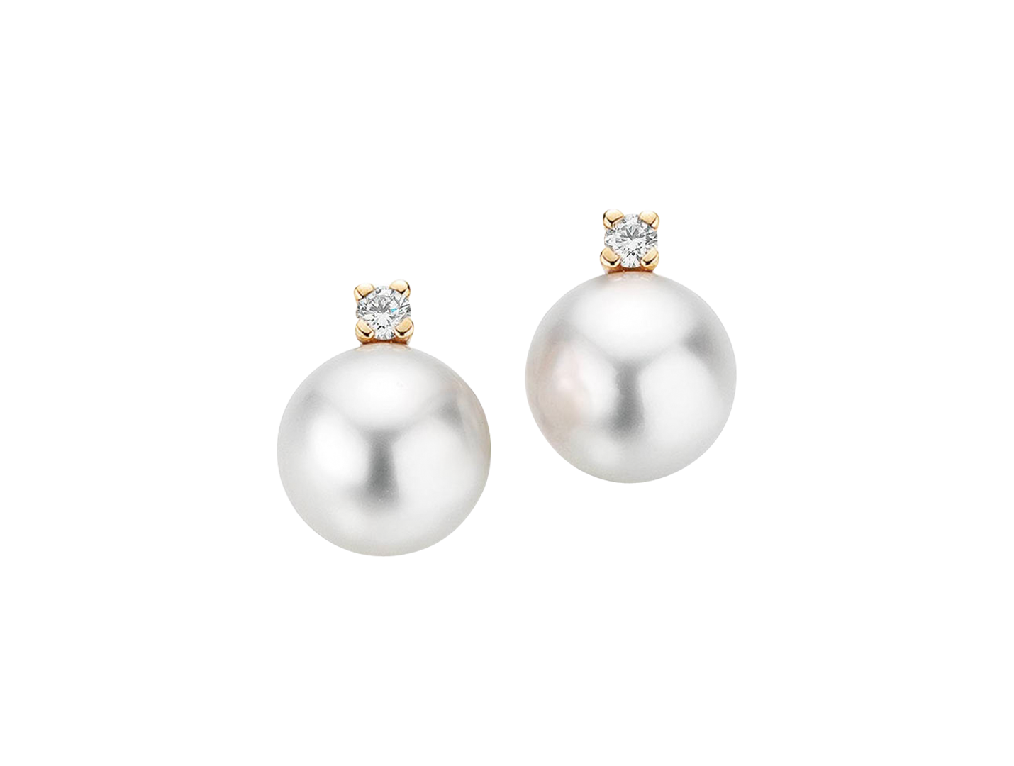 Gellner H2O stud earrings Gellner H2O stud earrings