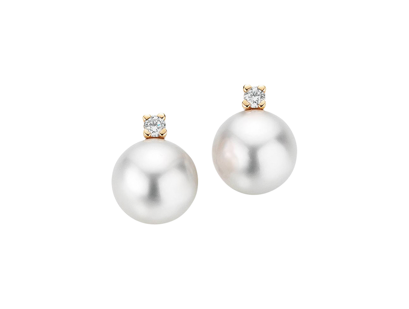 Gellner H2O stud earrings Gellner H2O stud earrings