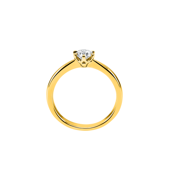 1c483g s1 z66613be5155a4c10