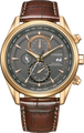 Citizen Sport Quarz 43mm Citizen Sport Quarz 43mm