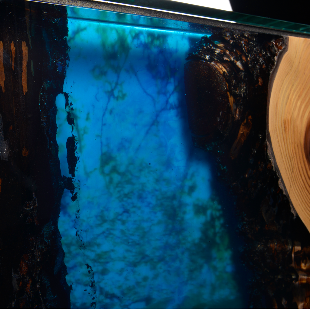 Chronovision Uhrenbeweger Tresor Wild Nature H3 Chronovision Uhrenbeweger Tresor Wild Nature H3