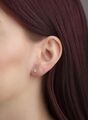 Brogle solitaire ear studs Julia up to 0.5 carat Brogle solitaire ear studs Julia up to 0.5 carat
