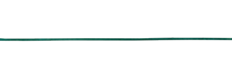 Tamara Comolli Signature Dark Green Leather Strap