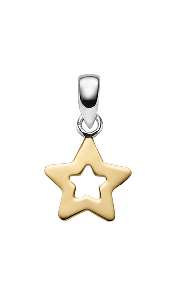 Brogle Classic Sternanhänger aus Gold