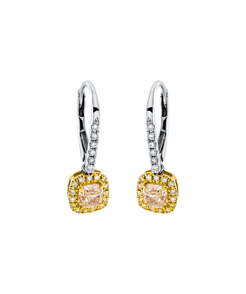 Brogle Classic Bicolor Diamantohrhänger