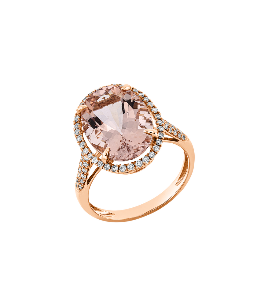 Brogle Selection Morganitring