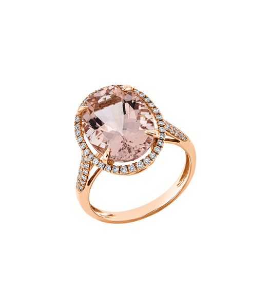 Brogle Selection Morganitring