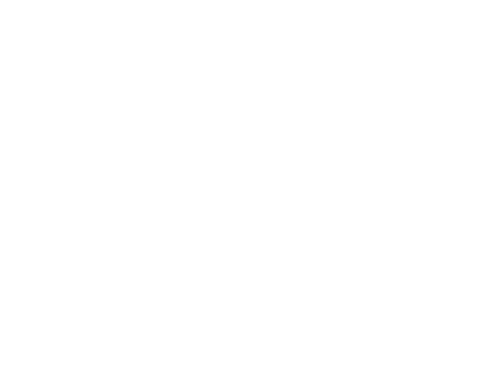 logo 20