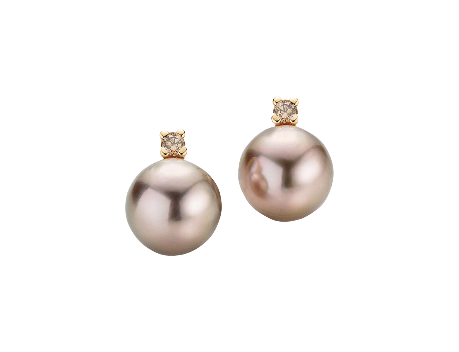 Gellner H2O stud earrings