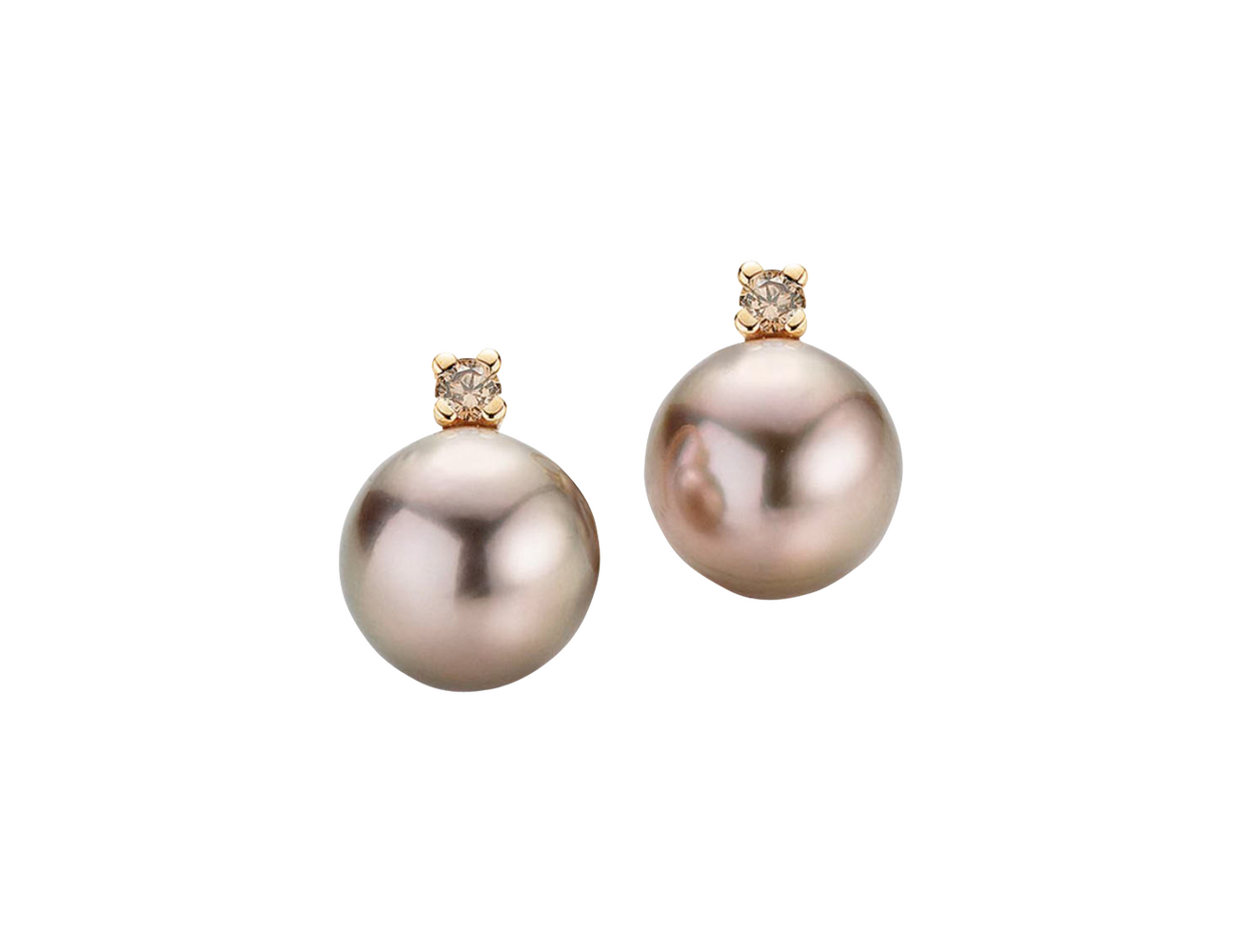 Gellner H2O stud earrings Gellner H2O stud earrings