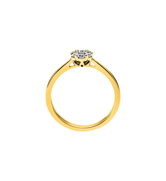 1b497g s1 t64b91031982e5ac9