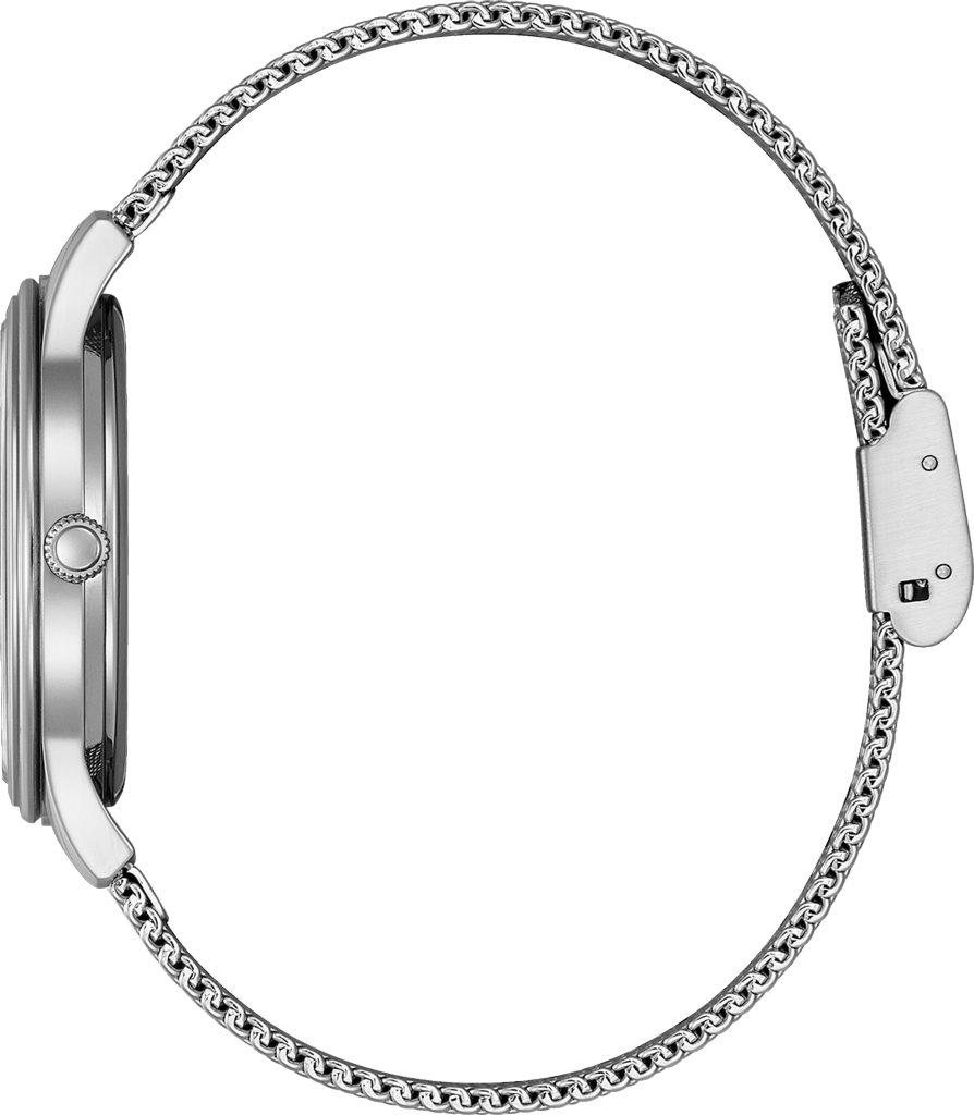 Citizen Elegant Eco-Drive 34mm