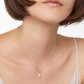 Dodo moon Pendant