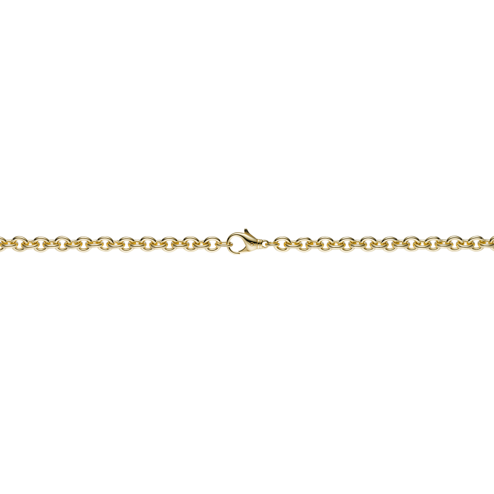 Brogle Classic Rundankerkette 2,7mm Brogle Classic Rundankerkette 2,7mm