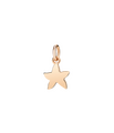 Dodo starfish (small) Pendant