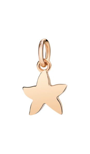 Dodo starfish (small) Pendant Dodo starfish (small) Pendant