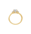 Brogle solitaire ring