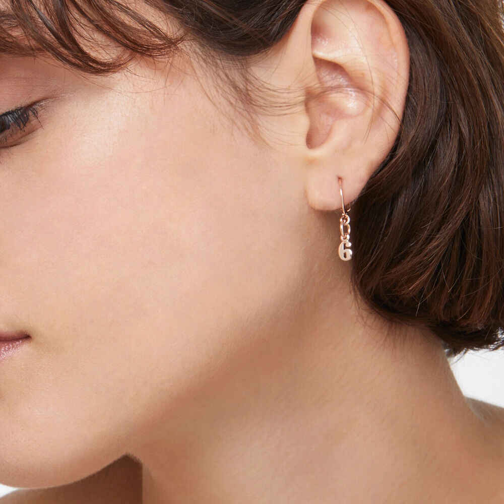 Dodo number 6 (small) Pendant Dodo number 6 (small) Pendant