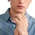 Dodo Essentials signet ring Dodo Essentials signet ring