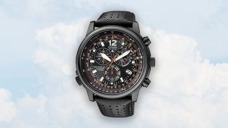 16 9 Citizen Promaster sky