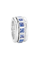 Tamara Comolli Curriculum Vitae Sky Ring