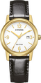 Citizen Basic Eco-Drive 30mm