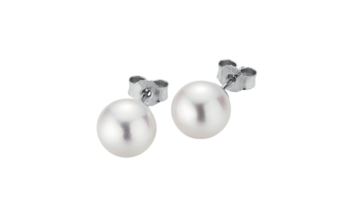 Gellner Basics Ohrstecker Gellner Basics Ohrstecker