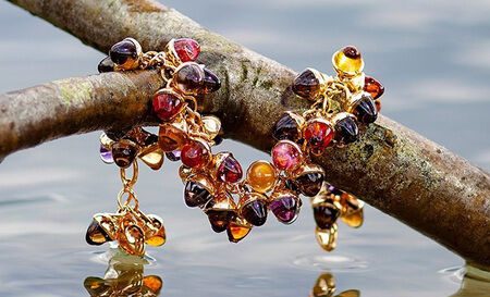 tamara comolli color story chestnut