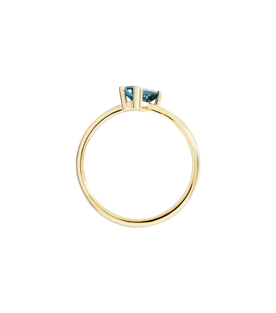 Dodo Essentials Ring