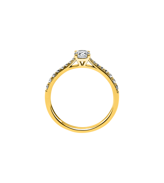 1a421g s1 b66613d3480fe2631