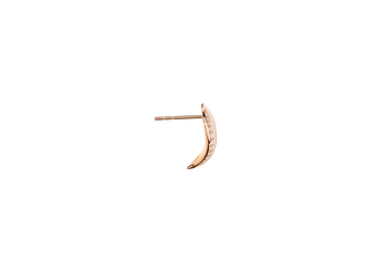 149333 E SIG WAVE 1 PL RGpb2
