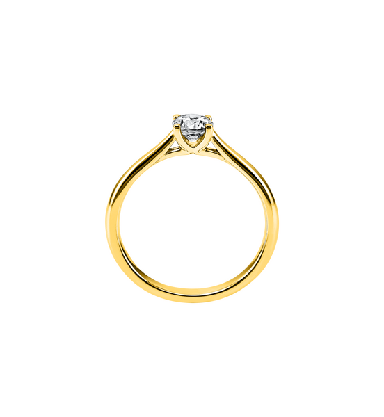 1a292g s1 q66613d964859c263